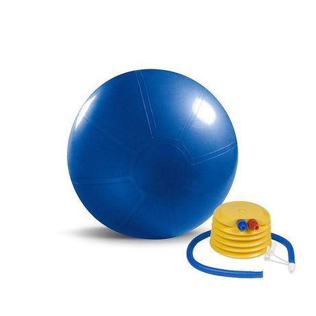 Beachbody Premium Stability Ball Beachbody Balance and stability; bosu, swiss, plyo-box beachbody-premium-stability-ball-with-pump_1024x1024_990c8244-4d2e-4f2c-876f-08282a57280f