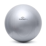 Element Fitness Commercial Stability Ball 65cm Element Fitness Variant(s) - Size element-fitness-gymball-65cm-lrg