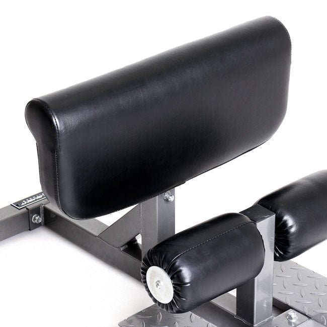 Element Fitness Sissy Squat Element Fitness Miscellaneous strength accessories, push up bars, chin up bars, trx, gym rings element-sissy-details1