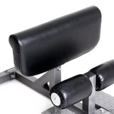 Element Fitness Sissy Squat Element Fitness Miscellaneous strength accessories, push up bars, chin up bars, trx, gym rings element-sissy-details1