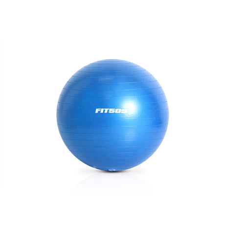 FIT505 Stability Ball Fit505 Variant(s) - Size fit505-exercise-ball_1_1