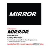 The Mirror - Interactive Home Gym - Discontinued G&G Fitness Equipment Modular; preacher curl, vkr, ab, roman chair themirror