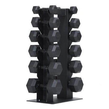 XM Fitness Vertical Dumbbell Rack - Holds 6 Pair XM Fitness Dumbell racks, power block stand, plate and bar storage, kettlebell racks, ball racks xm-dumbbell-tree-loaded_large_62bd7f4a-377d-44c4-984b-456aafae5c9b